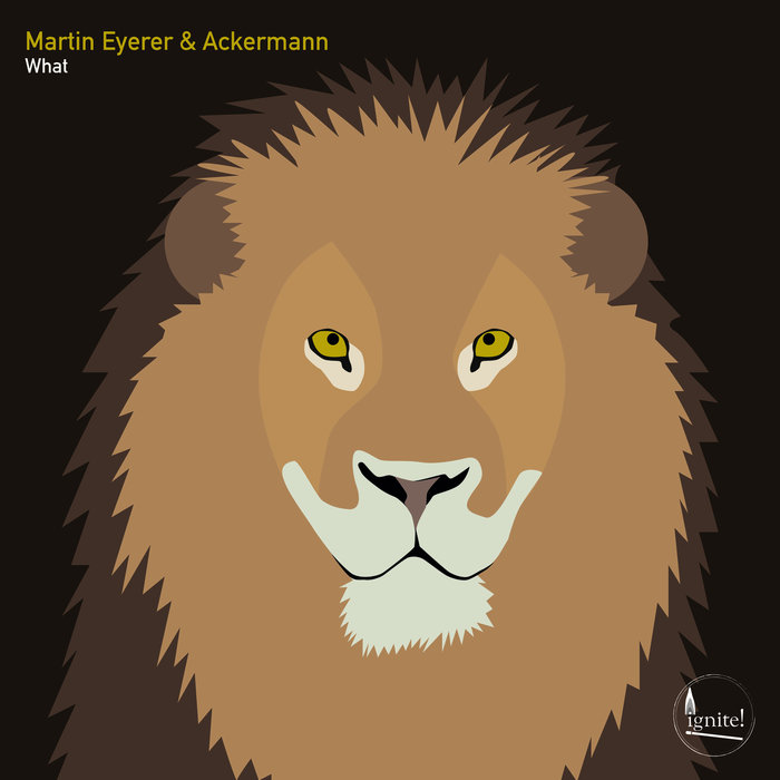 MARTIN EYERER/ACKERMANN - What