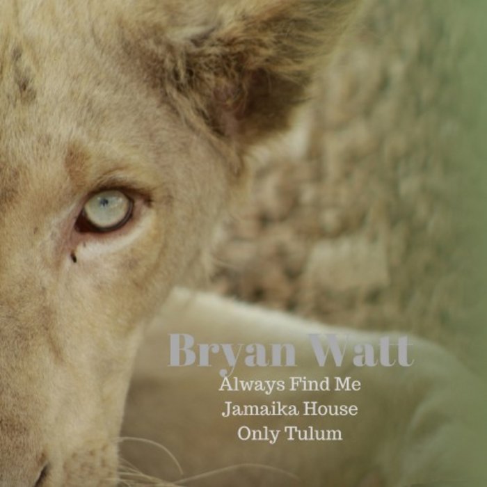 BRYAN WATT - Only Tulum