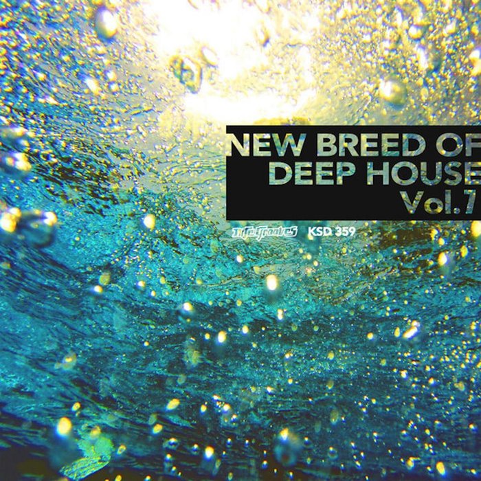 AIKO MORITA/VARIOUS - New Breed Of Deep House Vol 7 (unmixed tracks)