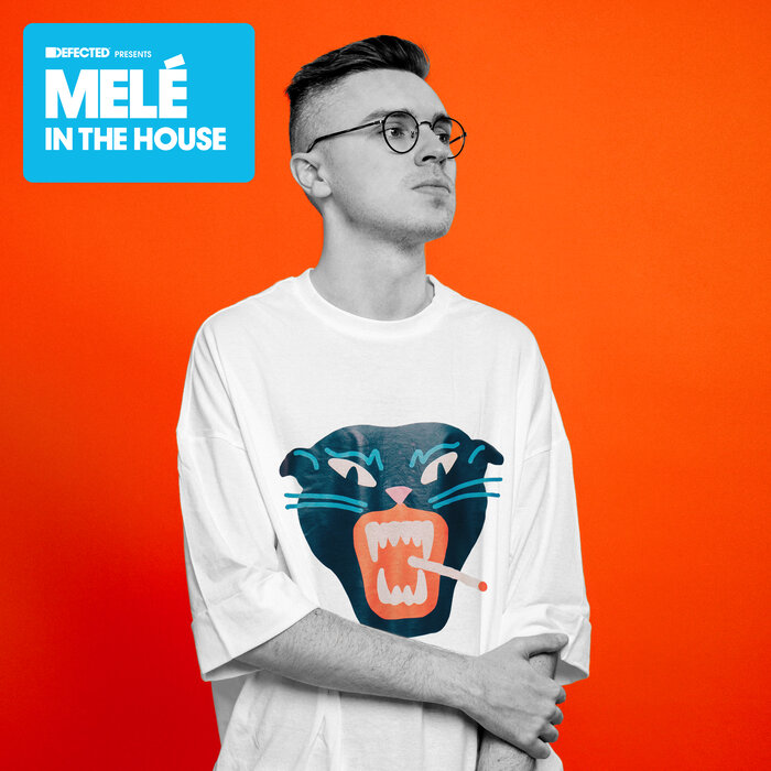 MELE/VARIOUS - Defected Presents Mele In The House
