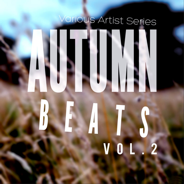 VARIOUS - Autumn Beats Vol 2
