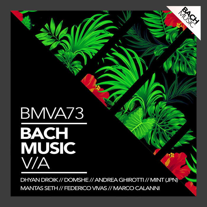 VARIOUS - Bach Music VA