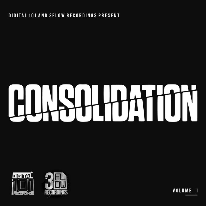 VARIOUS - Digital 101 And 3Flow Recordings Present Consolidation Vol I