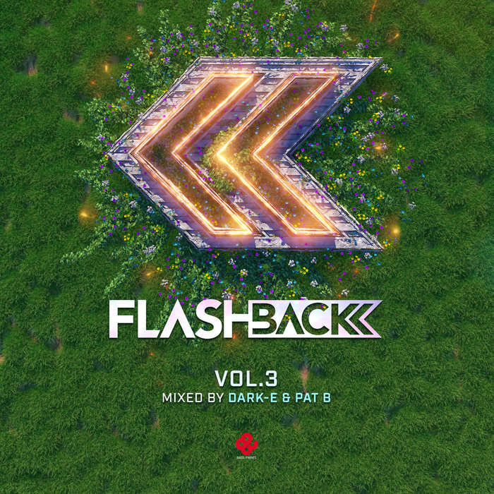 DARK-E/PAT B/VARIOUS - Flashback: Third Edition (unmixed Tracks)