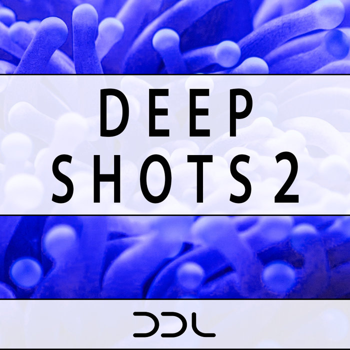 DEEP DATA LOOPS - Deep Shots 2 (Sample Pack WAV)