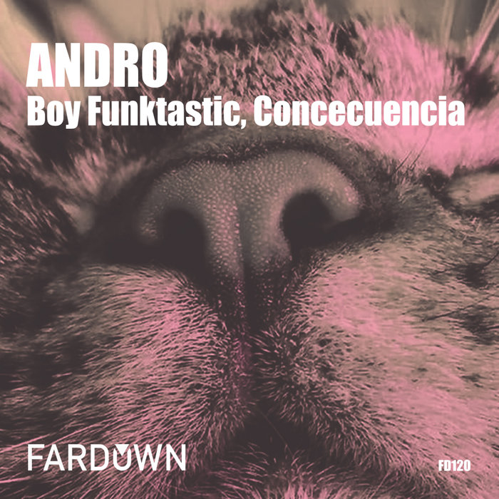 BOY FUNKTASTIC/CONCECUENCIA - Andro EP