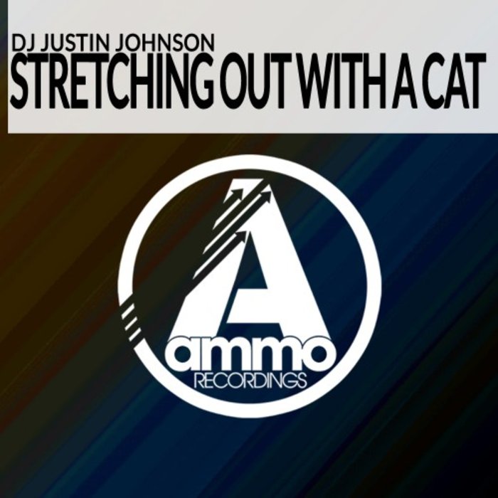 DJ JUSTIN JOHNSON - Stretching Out With A Cat