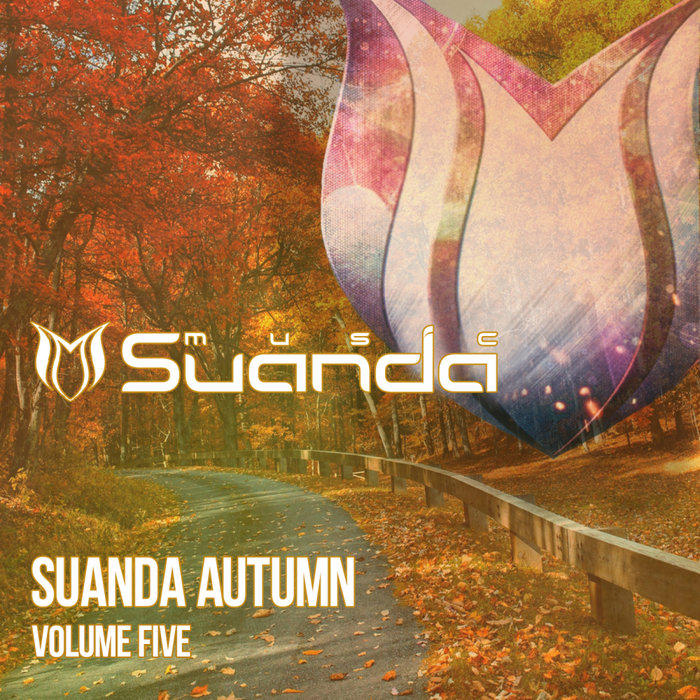 VARIOUS - Suanda Autumn Vol 5