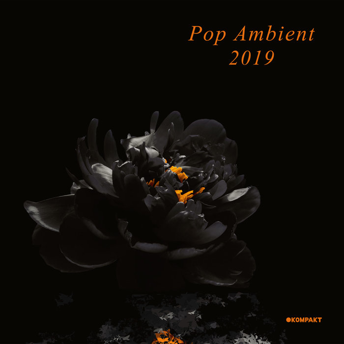 VARIOUS - Pop Ambient 2019 (unmixed tracks)