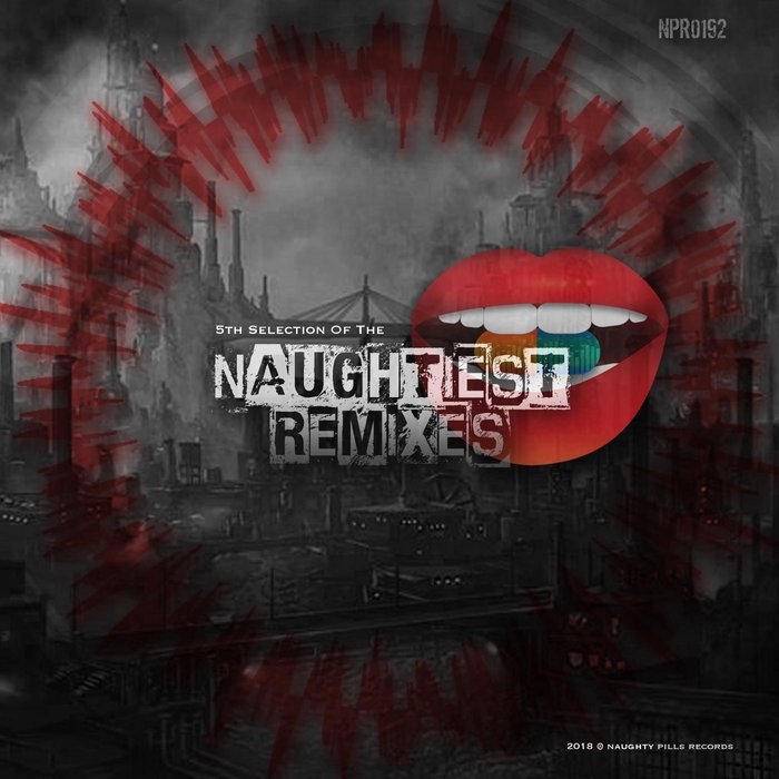 VARIOUS - 5th Selection Of The Naughtiest Remixes