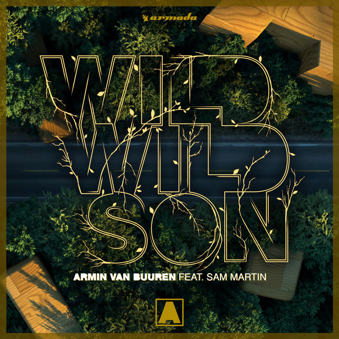 Armin van Buuren feat Sam Martin - Wild Wild Son