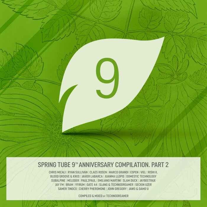 TECHNODREAMER/VARIOUS - Spring Tube 9th Anniversary Compilation, Pt. 2