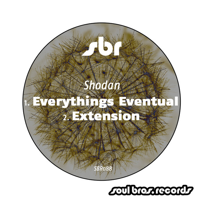 SHODAN - Everythings Eventual