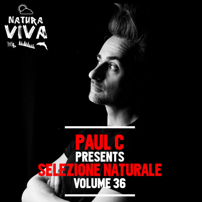 VARIOUS - Paul C Presents Selezione Naturale Vol 36