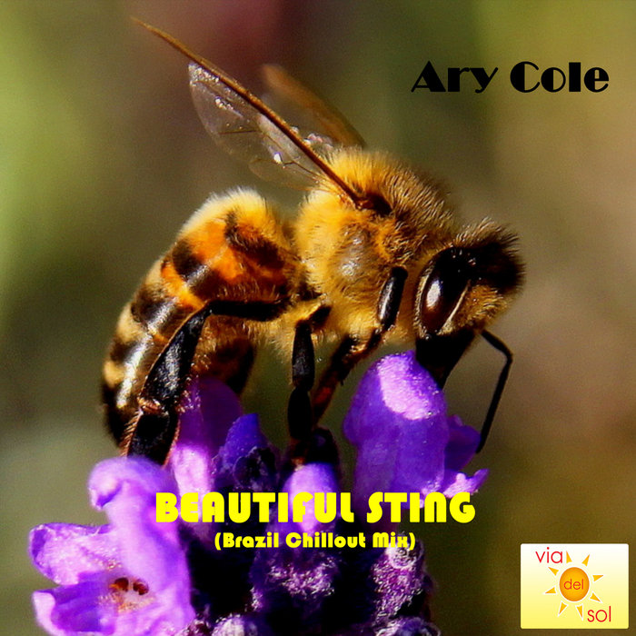 ARY COLE - Beautiful Sting