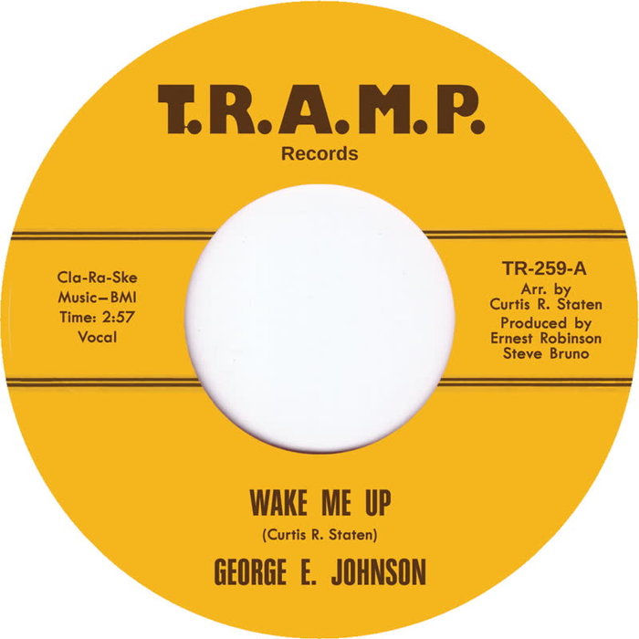 GEORGE E JOHNSON - Wake Me Up