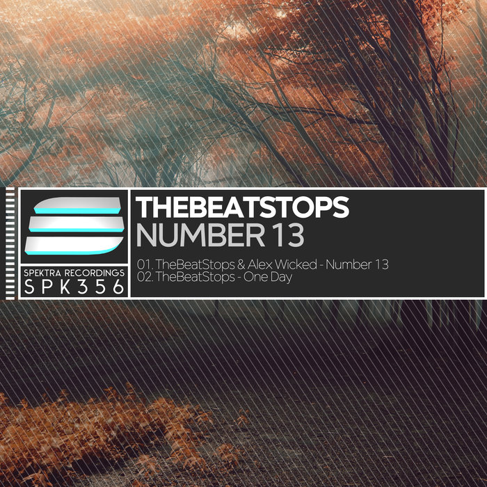 THEBEATSTOPS - Number 13