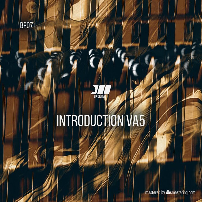 VARIOUS - Introduction VA#5