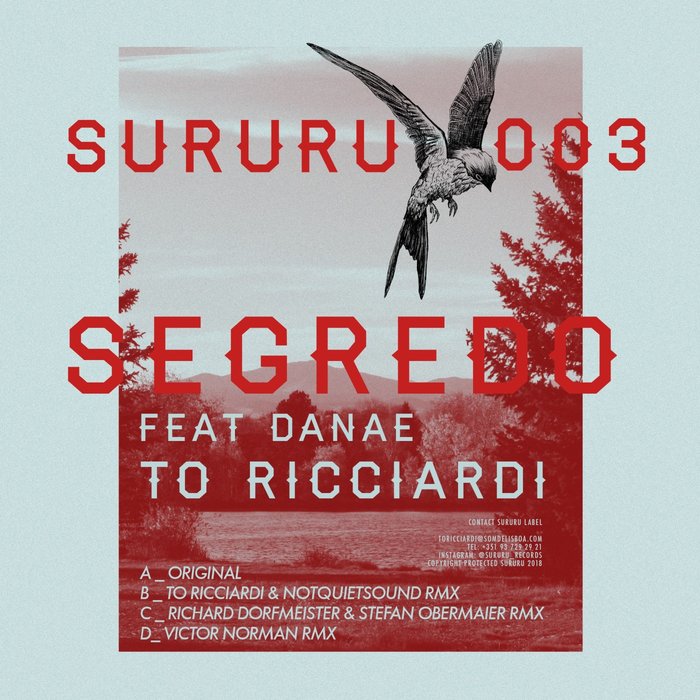 TO RICCIARDI feat DANAE - Segredo