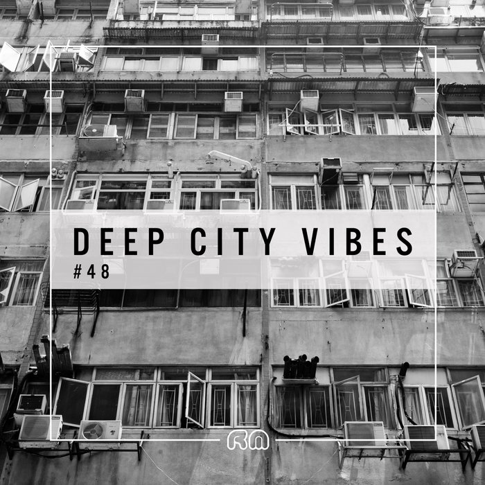 VARIOUS - Deep City Vibes Vol 48