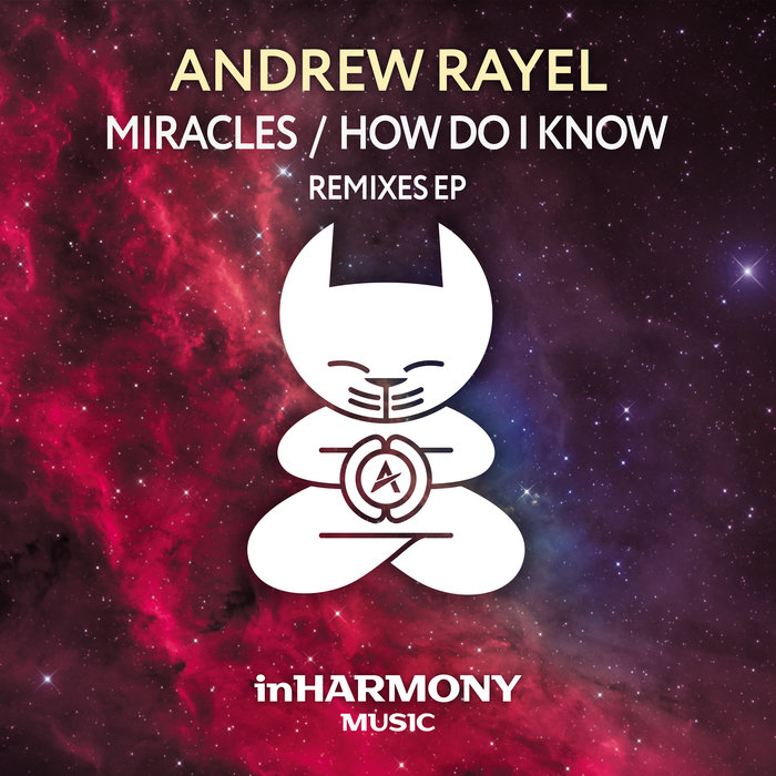 ANDREW RAYEL - Miracles/How Do I Know