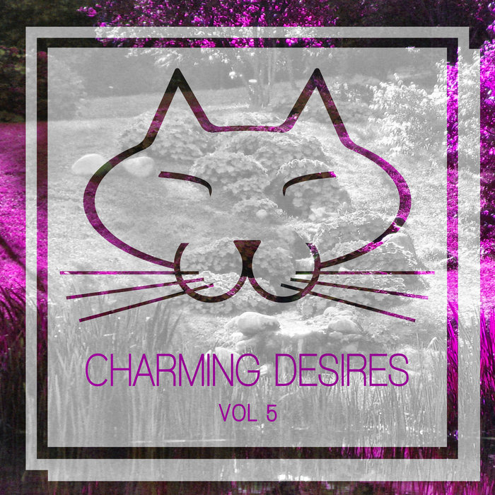 VARIOUS - Charming Desires Vol 5