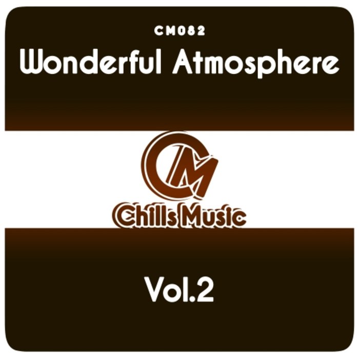 VARIOUS - Wonderful Atmosphere Vol 2