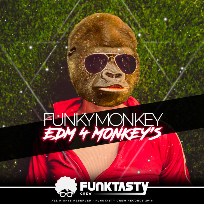 Funky monkey перевод. Фанки манки. Группа Funky Monkey. Фанки манки песня. Funk you с обезьяной.