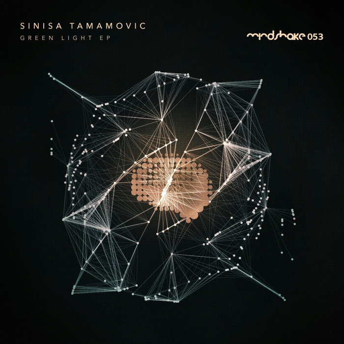 SINISA TAMAMOVIC - Green Light EP