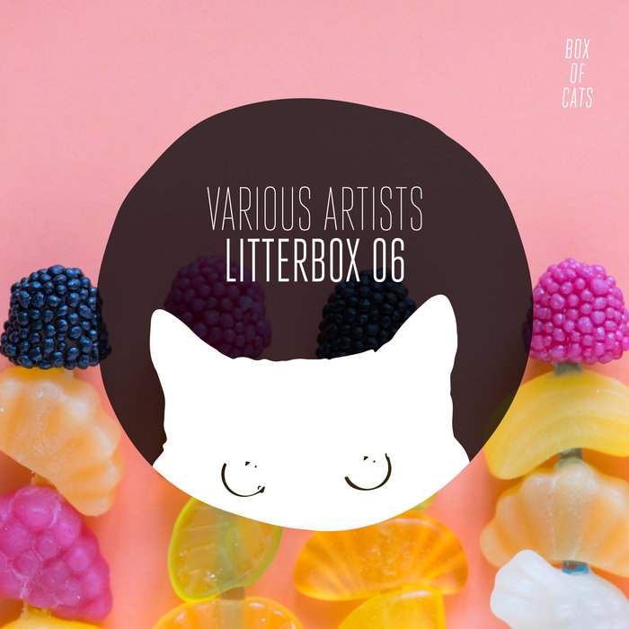 VARIOUS - Litterbox 06