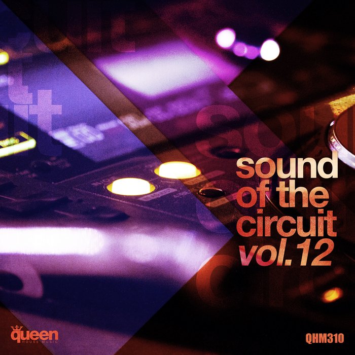 VARIOUS - Sound Of The Circuit Vol 12