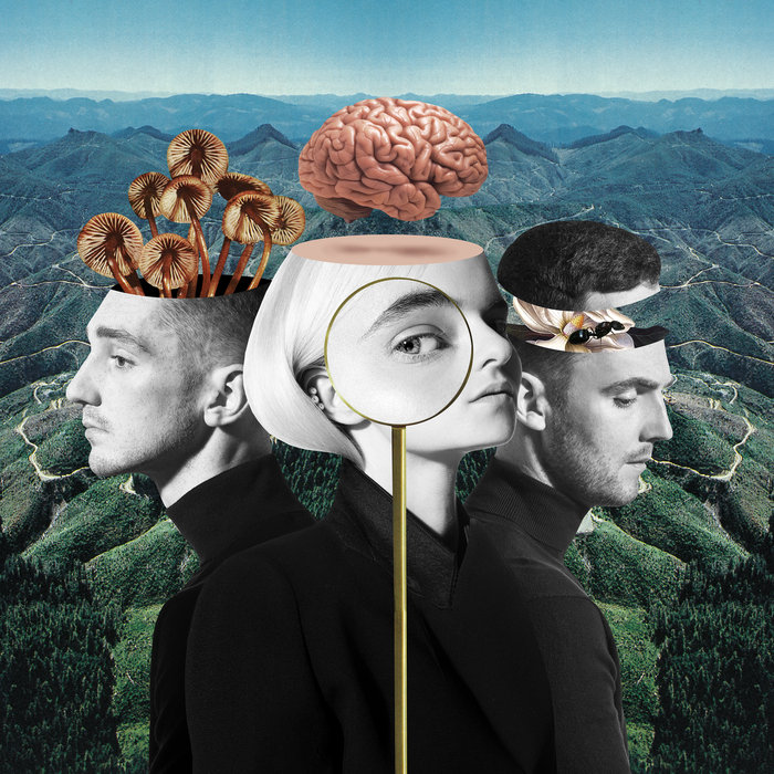 CLEAN BANDIT - What Is Love? (Deluxe Edition) (Explicit)