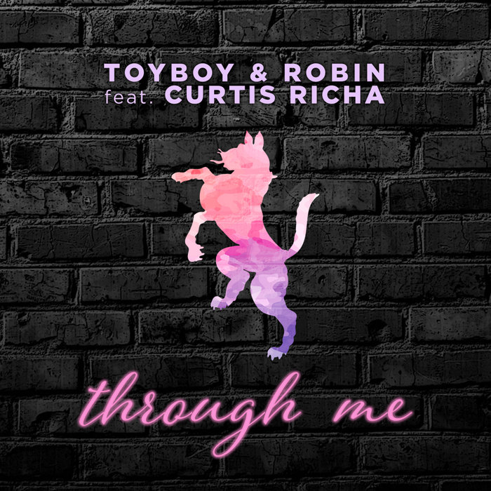 TOYBOY & ROBIN feat CURTIS RICHA - Through Me