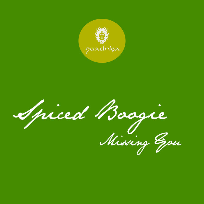SPICED BOOGIE - Missing You