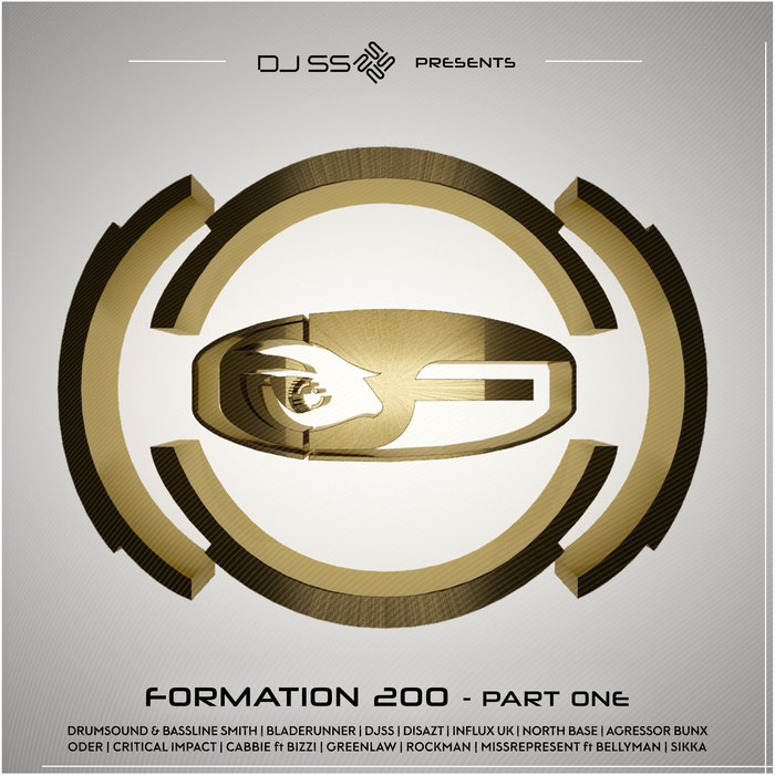 VARIOUS - DJ SS Presents/Formation 200 Part 1
