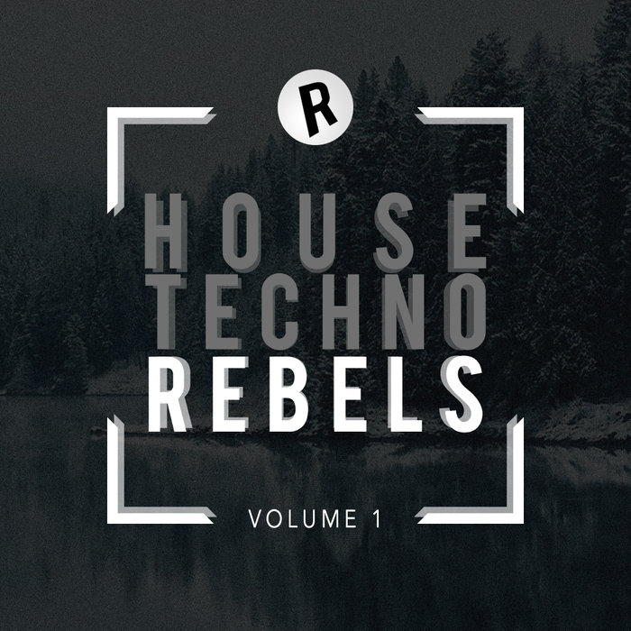 VARIOUS - Techno House Rebels