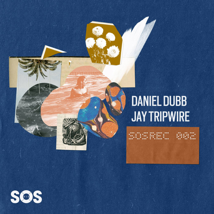 DANIEL DUBB/JAY TRIPWIRE - Dis