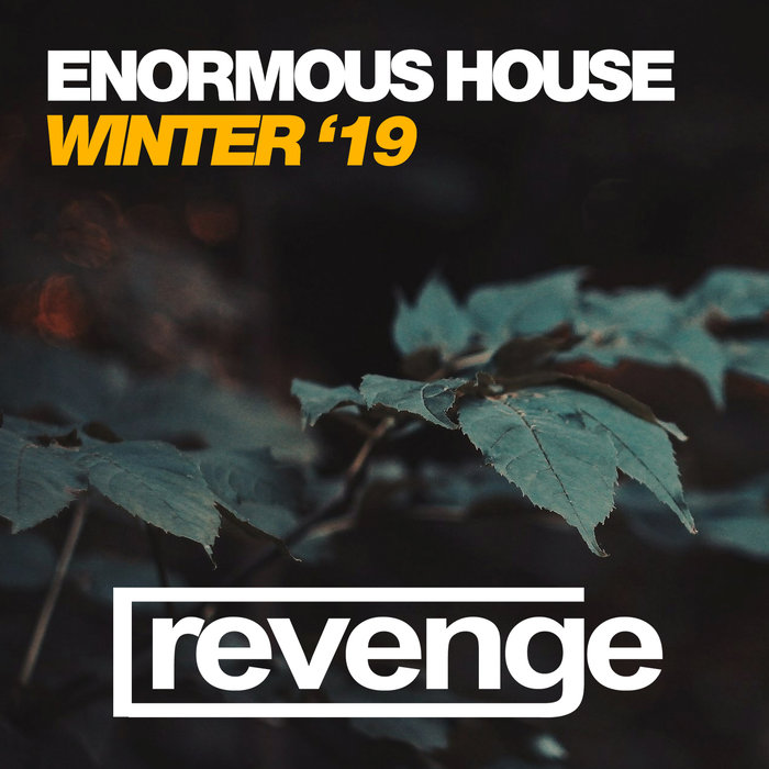 VARIOUS - Enormous House Winter '19