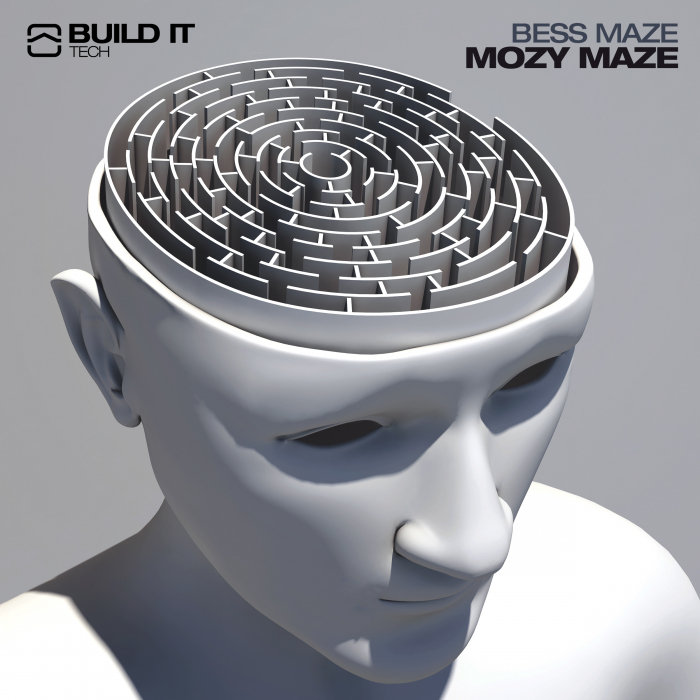 Maze музыка. Фото человека с лабиринтом вместо мозга. Mozy g.