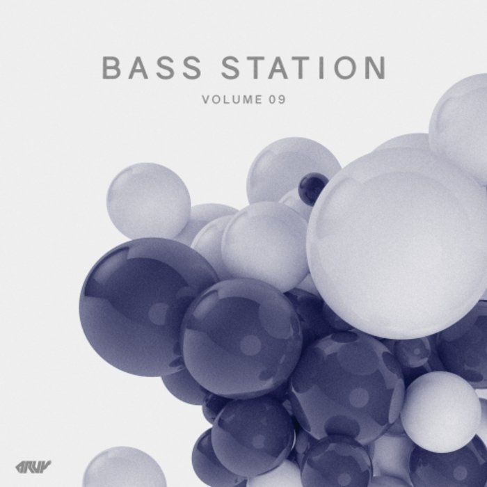 VARIOUS - Bass Station Vol 09