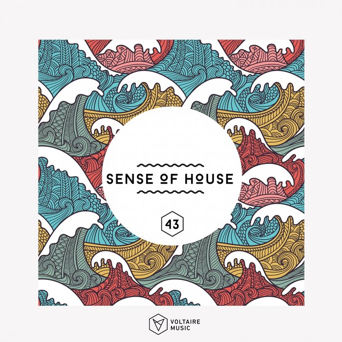 VARIOUS - Sense Of House Vol 43