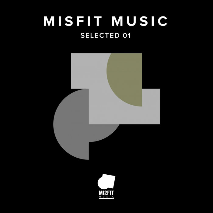 VARIOUS - Misfit Music: Selected 01