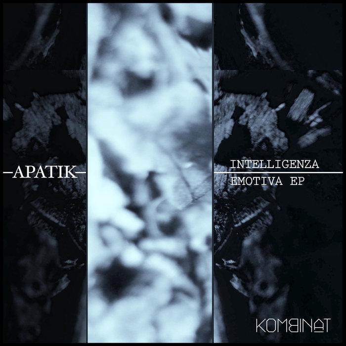 APATIK - Intelligenza Emotiva