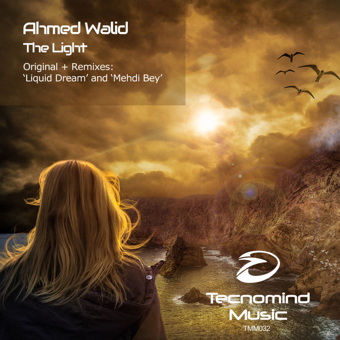 AHMED WALID - The Light