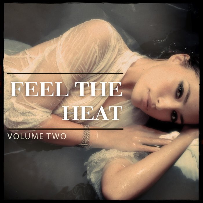 VARIOUS - Feel The Heat Vol 2