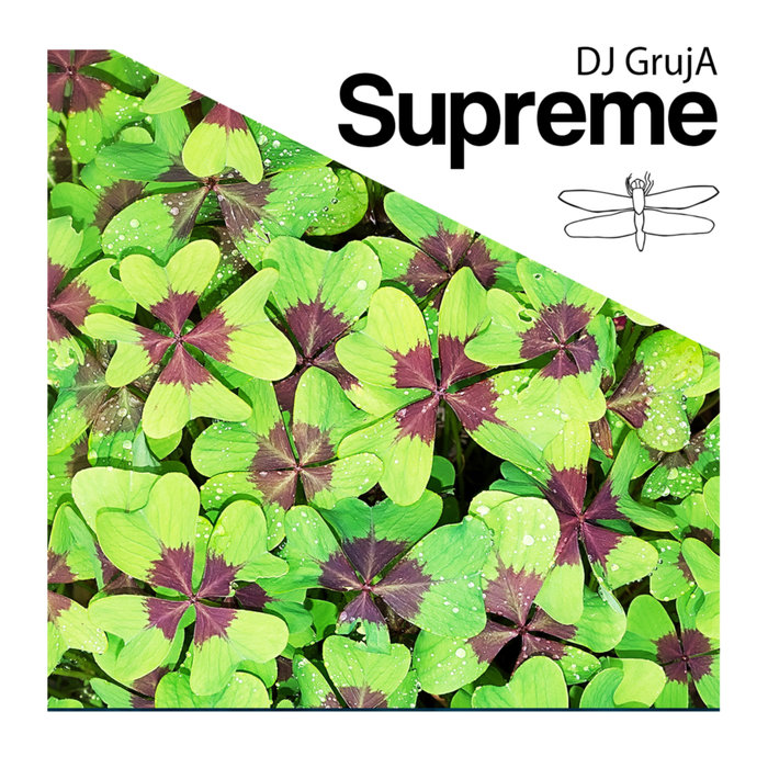 DJ GRUJA - Supreme