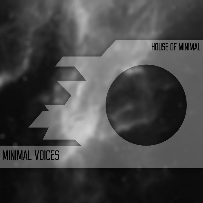 VARIOUS - Minimal Voices