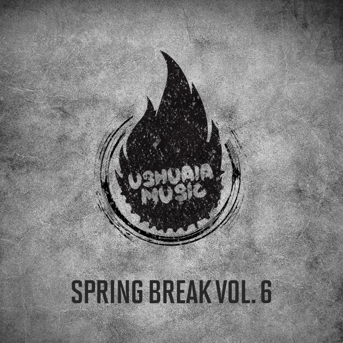VARIOUS - Spring Break Vol 6