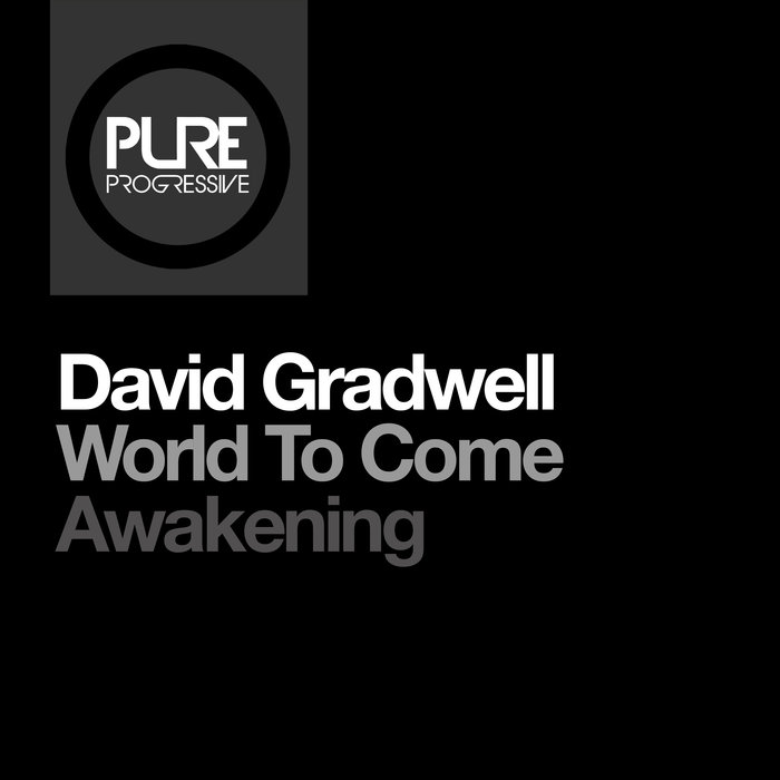 DAVID GRADWELL - World To Come + Awakening