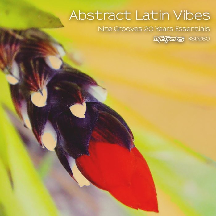 VARIOUS - Abstract Latin Vibes (Nite Grooves 20 Years Essentials)